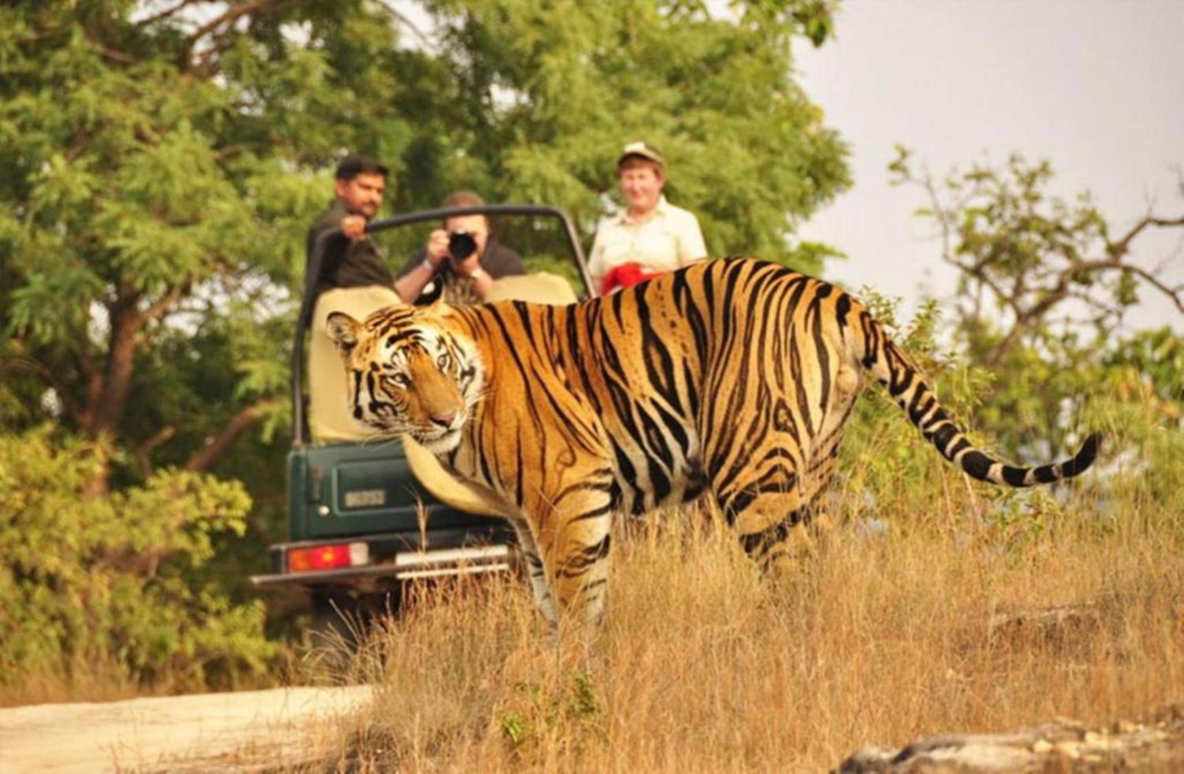 The Vanashrya Ranthambore Hotel Khilchīpur Exterior foto